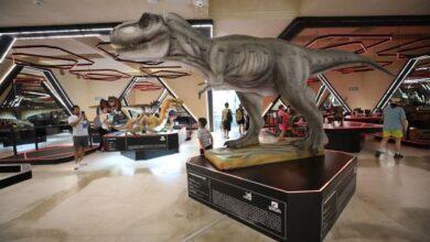 Photo of Museo del Meteorito celebra tercer aniversario con actividades para toda la familia