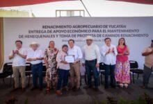 Photo of Destinan más de 3.8 mdp para el rescate de la actividad henequenera