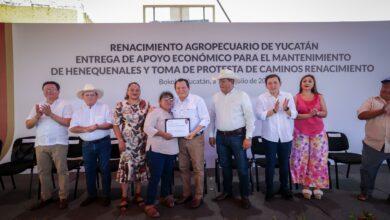 Photo of Destinan más de 3.8 mdp para el rescate de la actividad henequenera