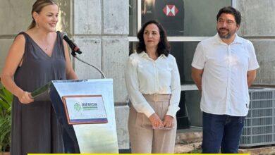 Photo of Cecilia Patrón pone orden a la gentrificación en Mérida con visión y firmeza