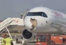 Photo of Avión aterriza de emergencia en Madrid tras impactarse con un ave