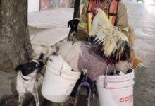 Photo of “El Señor de los Patos” y su singular caravana están en Tehuacán