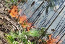 Photo of ¡Alerta en Holbox! sin control el incendio de la reserva