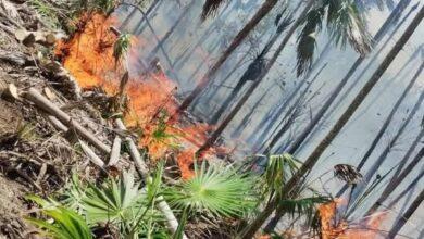 Photo of ¡Alerta en Holbox! sin control el incendio de la reserva