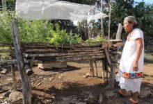 Photo of olares mayas, una vida y tradición