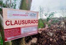 Photo of Profepa clausura predio en la Reserva Cuxtal por devastación de selva 