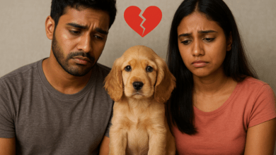 Photo of CDMX garantiza manutención de mascotas en casos de divorcio