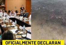 Photo of ¡Es oficial! Declaran marea roja en Yucatán