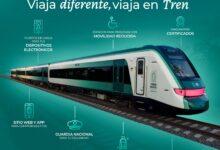 Photo of Tren Maya pagó casi mil mdp de seguro por descarrilamiento, huelgas y sabotaje