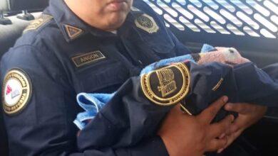 Photo of Otro bebé abandonado en menos de 24 horas en la CDMX