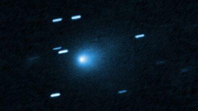 Photo of Nuevo Visitante Interestelar: ¡Un Nuevo Cometa!