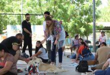 Photo of Ayuntamiento de Mérida comprometido con el bienestar animal