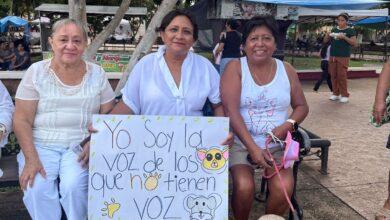 Photo of Justicia para “Princesa”