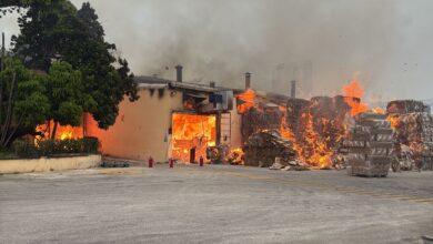 Photo of Incendio en planta de cartón de una empresa avícola de Mérida
