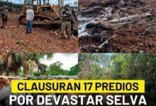 Photo of Clausuran 17 predios por uso de suelo ilegal en la Península de Yucatán