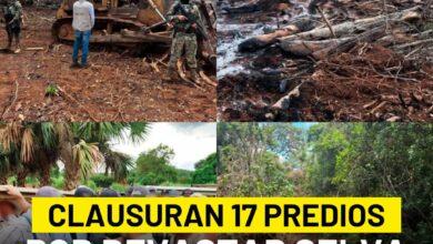 Photo of Clausuran 17 predios por uso de suelo ilegal en la Península de Yucatán