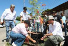 Photo of Sembrando futuro, innovan en la plantación de árboles en Mérida: Ceci Patrón