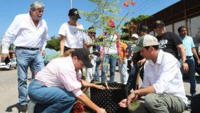 Photo of Sembrando futuro, innovan en la plantación de árboles en Mérida: Ceci Patrón