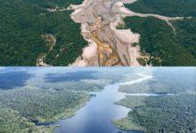 Photo of Estudio revela el origen de la sequía en el Amazonas
