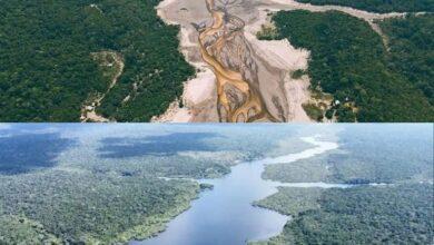 Photo of Estudio revela el origen de la sequía en el Amazonas