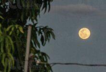 Photo of La última Luna llena “normal”este domingo