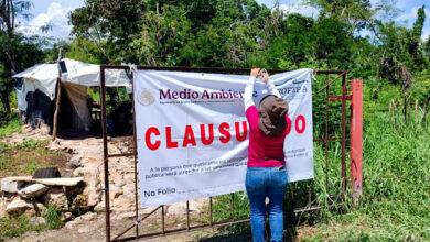 Photo of Impone Profepa una clausura total definitiva a la granja porcícola en Santa María Chi