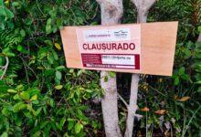 Photo of Clausuran predio donde se rellenó un humedal en la Reserva Estatal de Dzilam