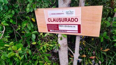 Photo of Clausuran predio donde se rellenó un humedal en la Reserva Estatal de Dzilam