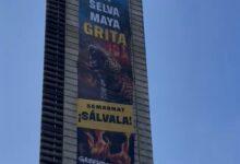 Photo of “La selva maya grita”: Greenpeace protesta en la Estela de Luz contra el Tren Maya
