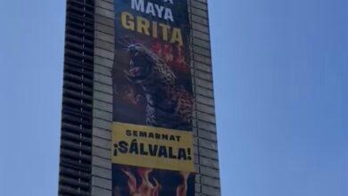 Photo of “La selva maya grita”: Greenpeace protesta en la Estela de Luz contra el Tren Maya