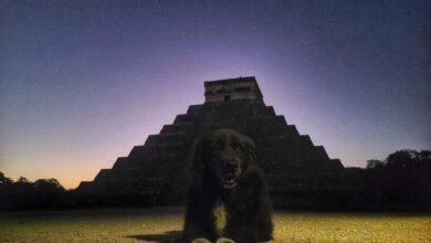 Photo of La noche que Cachimba salió victoriosa contra lo desconocido en Chichén Itzá