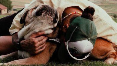 Photo of Lewis Hamilton anunció la partida de Roscoe