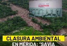 Photo of PROFEPA clausura obras de «Savia Residencial» en Mérida
