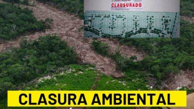 Photo of PROFEPA clausura obras de «Savia Residencial» en Mérida