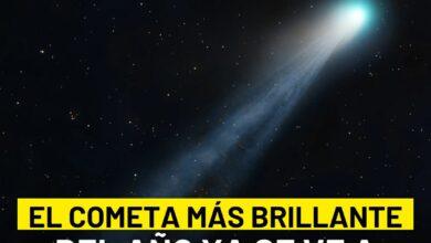 Photo of El cometa Lemmon podría ser el más brillante del año