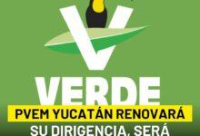 Photo of PVEM Yucatán inicia proceso de renovación con liderazgo femenino al frente