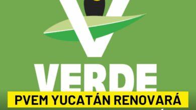 Photo of PVEM Yucatán inicia proceso de renovación con liderazgo femenino al frente