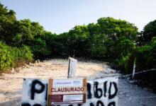 Photo of Clausura en Chicxulub Puerto por daño a manglares