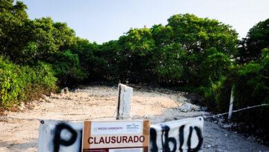 Photo of Clausura en Chicxulub Puerto por daño a manglares