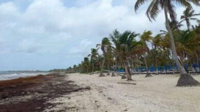 Photo of Tulum, sin turistas: sargazo, altos precios, inseguridad y crisis