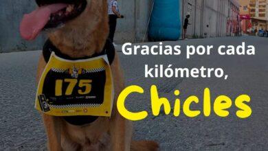 Photo of ¡Hasta siempre Chicles !