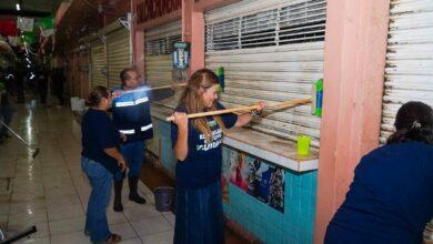 Photo of Cecilia Patrón vuelve a hacer brillar al mercado Lucas de Gálvez