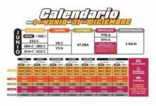 Photo of Aquí puedes hacer trámites de reemplacamiento durante el fin de semana