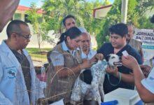 Photo of Yucatán refuerza la protección animal