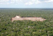 Photo of Piden freno a destrucción de vestigios mayas en Kinchil