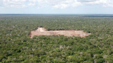 Photo of Piden freno a destrucción de vestigios mayas en Kinchil