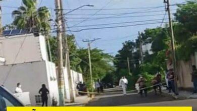 Photo of Denuncian estafa en crematorio de mascotas en Chetumal