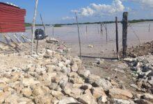 Photo of ¡Alerta en Chelem!,  denuncian invasión y tala de manglar