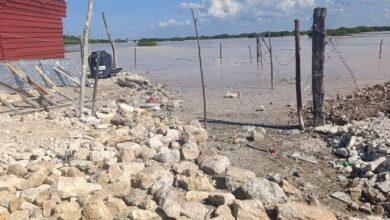 Photo of ¡Alerta en Chelem!,  denuncian invasión y tala de manglar