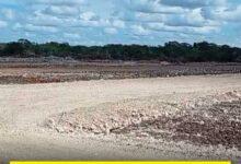 Photo of Continúan obras de Crío en Tzemé a pesar de clausuras de PROFEPA e INAH